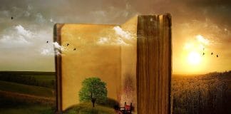 De ce vreau sa devin scriitoare? de ce vreau sa devin scriitor