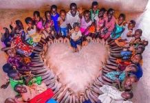 Reguli de comportament în Africa