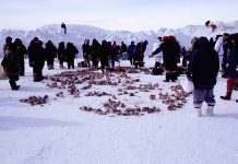 Bucătăria inuită (a zonei arctice)
