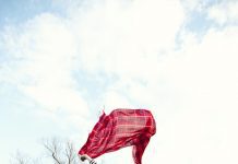 A fi partenerul unui spirit liber