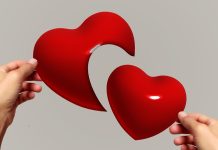 Inima perfecta – Poveste cu Talc