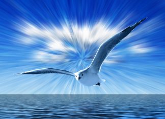 Channeling: Seria Manifestari – Adamus Saint Germain Shoud 4