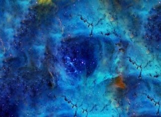 Trezirea celor adormiti – Consiliul Arcturian 9D